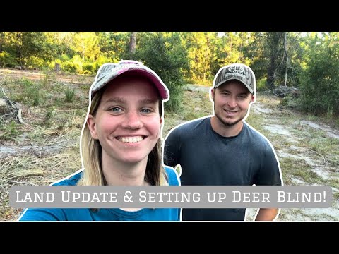 Land Update & Setting Up Deer Blind! | Our Homestead Journey
