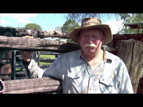 Reportage 360   Geo Reportage: Australiens Rinderfarmer