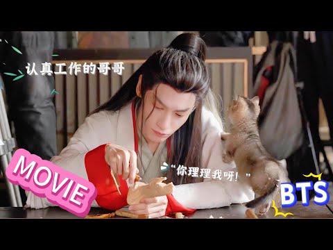 On “Shui Long Yin” set, Luo Yunxi’s birthday🐱 cats by his side, atmosphere super warm!