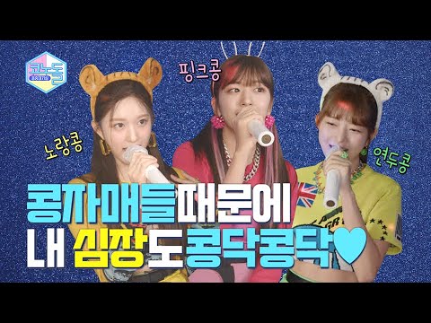 [코노돌🎤] EP.08 경)🎊짱이브 코노방 데뷔🎊(축 (미방분 공개)