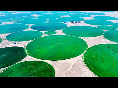 攻坚三北（五）