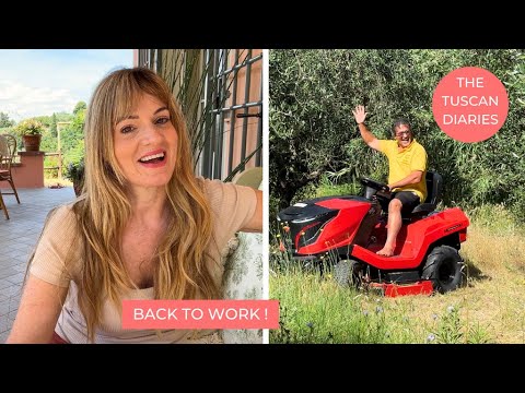 BACK TO LIFE IN TUSCANY: Plum Jam, Tractor delivery, Makeup &amp; Building a Bookcase