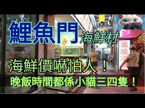 鯉魚門，海鮮村，海鲜價嚇怕人！晚飯時間都係小貓三四隻！[12092025]#街拍