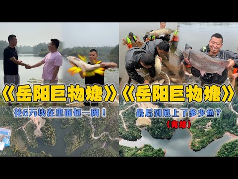 小飞哥花60000元在湖南岳阳包下13年没干的山塘，在里面拉一网到底是亏还是赚？