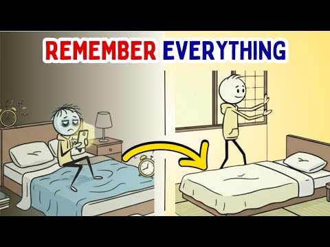 Japanese Student Habits That Make You Remember Everything