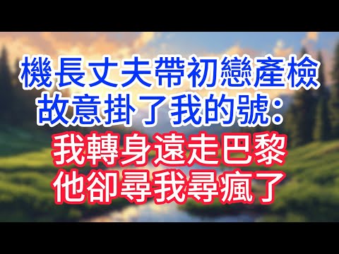 【完結】機長丈夫帶初戀產檢，故意掛了我的號：我轉身遠走巴黎，他卻尋我尋瘋了！#完结文#情感故事#一口气看完