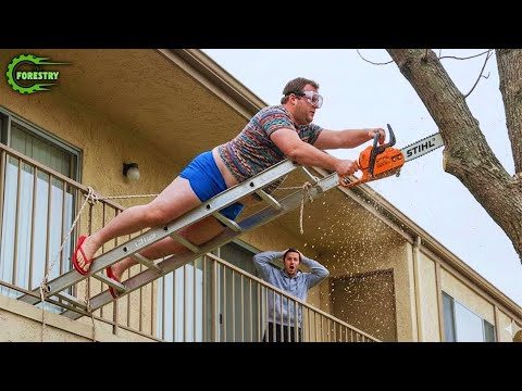 Idiots With Chainsaws: Tree Cutting Fails | Extreme Dangerous Logging Truck Fails #18