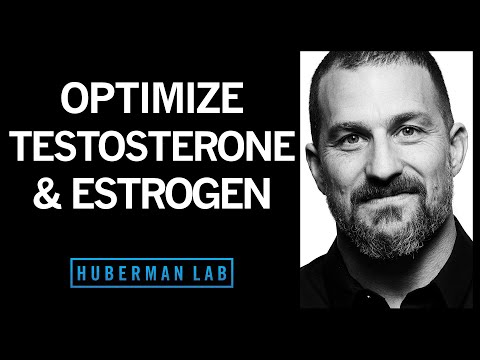 The Science of How to Optimize Testosterone & Estrogen