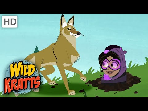 Wild Kratts | Groundhog Wakeup Call | Full Episode | Season 2