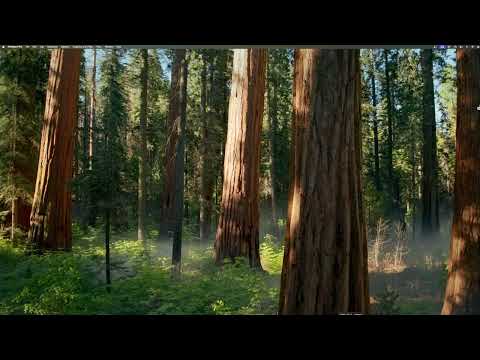 Art 300: Warm up 2 with Premiere Pro (re-upload)