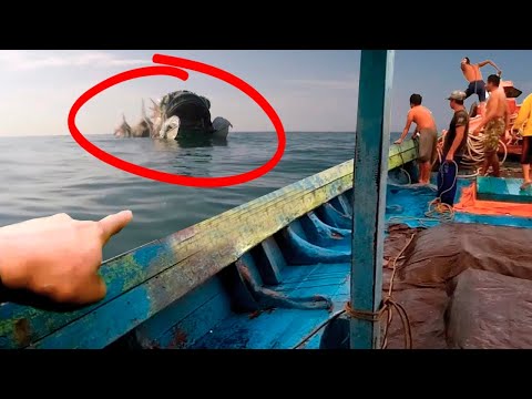 By the time the fishermen realized what they had seen, it was already too late.