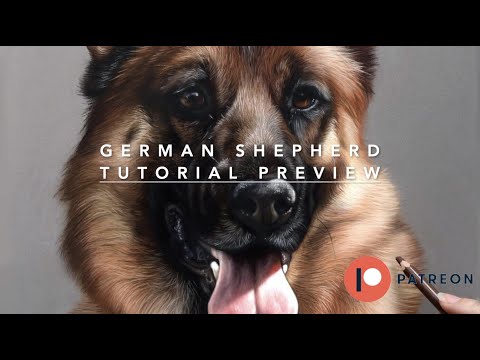 German Shepherd Drawing - Tutorial Preview. Light + Shadow in art. Soft Pastels + Pastel Pencils