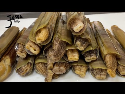 소고기랑 안 바꾼다는  대맛조개! 구입방법부터 손질과  간단 레시피!