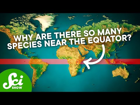 The Biggest Mysteries Science Still Hasn't Solved | Compilation