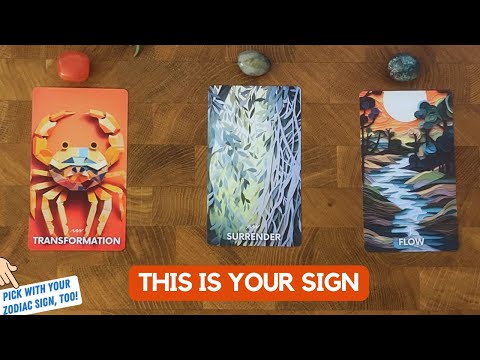 Your wish is coming true! 🥰🎉 | Timeless Reading