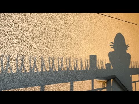 Распаковка подарков от друзей перед Новым годом 