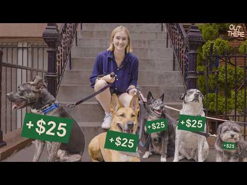 Apparently I can make 6 figures walking dogs in NYC?