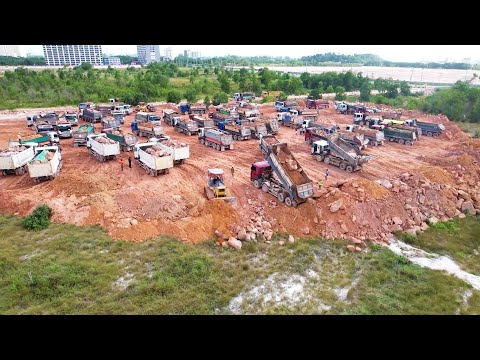 Reenjoy Old Location 2 Dozer Get Mission Clearing Mud Away & Landfilling Forward Complete Soon!