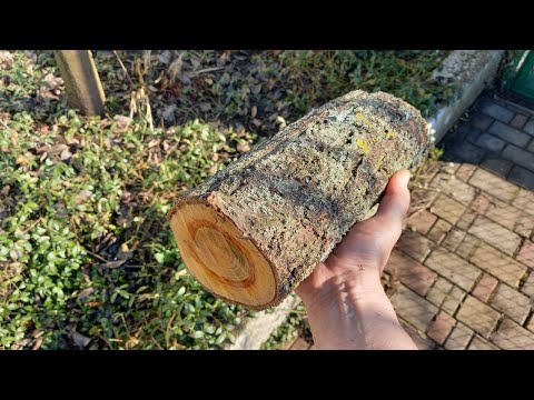A Whiskey Barrel from Apricot Log DIY | How to make a wooden barrel with your own hands