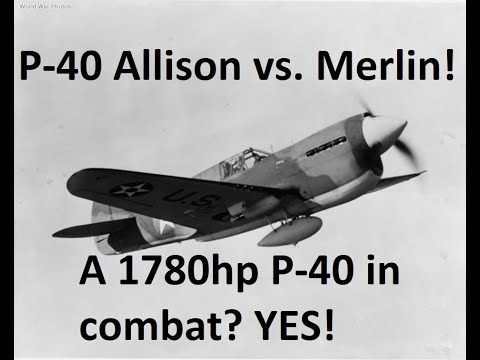 P-40 Warhawk Allison vs. Merlin