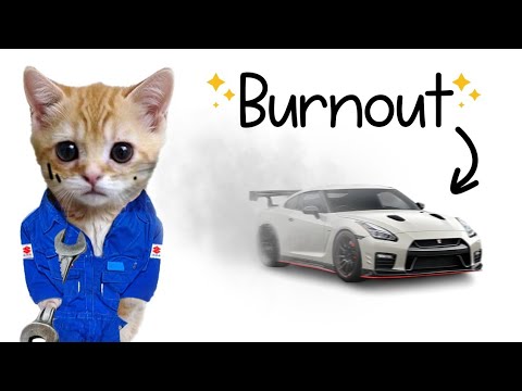Burnout explained By Cats 