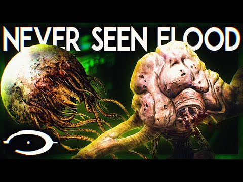 The NEVER BEFORE SEEN Flood!
