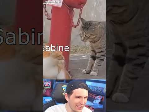 Was ist denn hier los???