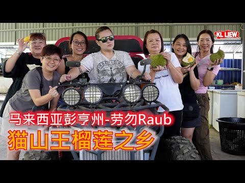 马来西亚彭亨州-劳勿Raub,猫山王榴莲之乡, 文冬 Bentong 豆腐卜必买的。