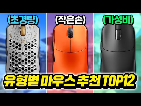 2000만원 써보고 추천하는 각 유형별 맞춤 마우스 TOP12 [2025년]