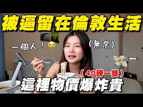 命運啊～ 要我留在最贵的城市！我吃不起！