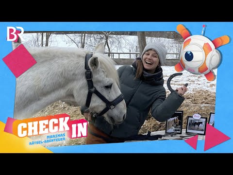 Vier Hufe und ein Hammer | CHECK IN - Marinas Rätsel-Abenteuer | BR