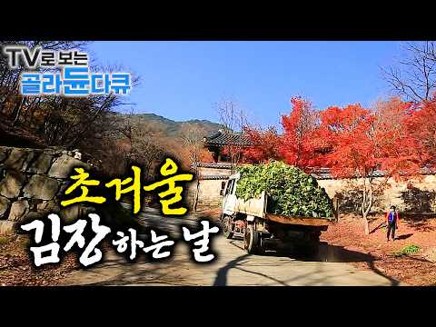 🥬찬 바람 불면, 한국인은 김장 준비 중. 배추 10톤 김장부터 옹기종기 모여 하는 집안 김장까지🥬｜김장 김치 꿀조합｜초겨울 김장날 1시간 몰아보기｜한국기행｜#tv로보는골라듄다큐