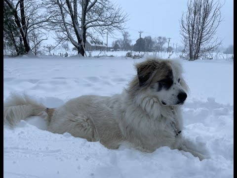 Snow Day in Delaware 2025