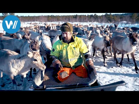 Lappland – Gemeinsam einsam und doch nicht allein (ARTE 360° Reportage)