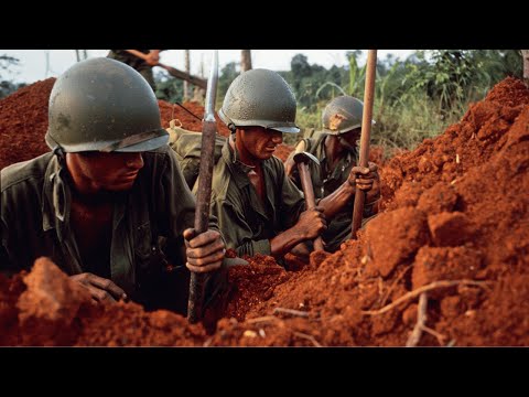 Why Australians Slept in Hammocks Above Ground... While Americans Dug Foxholes Every Night