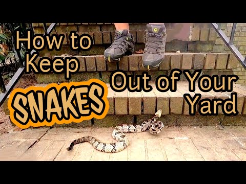 How to KEEP SNAKES OUT of Your Yard 🚫🐍
