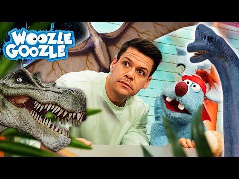 Welche Dinosaurier gibt es? 🦖 l WOOZLE GOOZLE