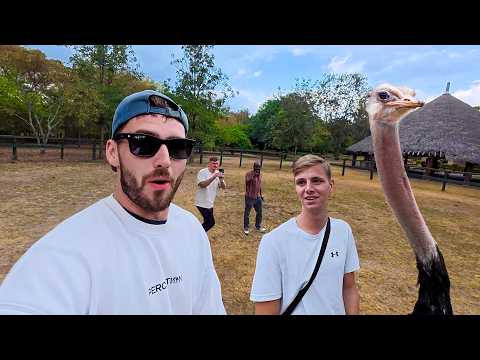 Ostrich Riding in Kenya (w/RiskyRegg) 🇰🇪
