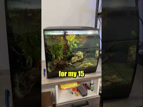 I Bought a RARE Fish..