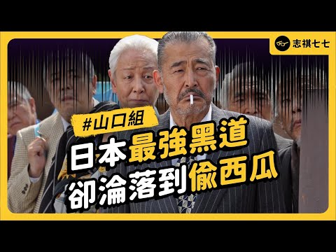 全球最賺錢的黑道山口組，為什麼能稱霸日本上百年？日本警察都不管嗎？｜志祺七七