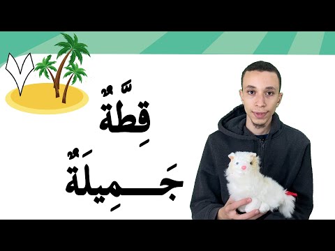 قِطَّتِـي-1 (31) | Learn Arabic Easily | My Cat