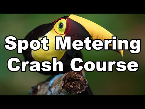 Spot Metering Crash Course