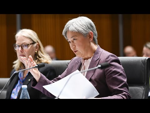 Foreign Minister clashes with Liberal frontbencher over ISIS brides in Senate