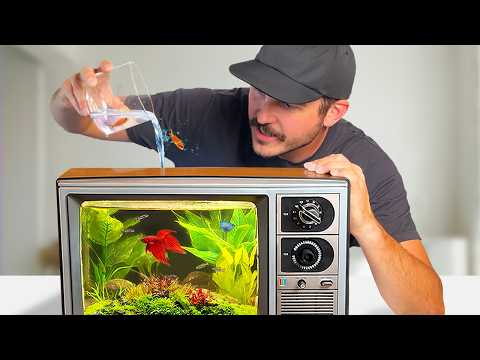 I Turned a Vintage TV into an Epic Aquarium