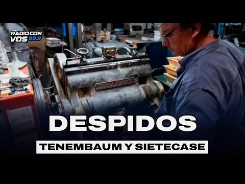 El plan MILEI para destruir a la INDUSTRIA Argentina.  | SIETECASE y TENEMBAUM