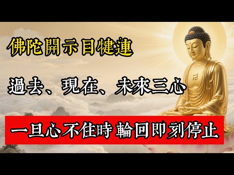 佛陀開示目犍連：過去、現在、未來三心，一旦心不住時，輪迴即刻停止！#佛教 #佛家 #佛法 #佛學知識 #佛學智慧 #修心修行 #佛教文化 #禪悟人生 #傳統文化