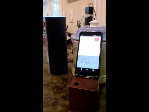 Voice Search: Amazon Echo vs. Google