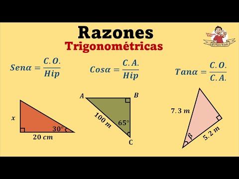 Resolución de triángulos rectángulos | Explicación desde cero