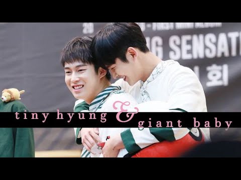 dawon and rowoon cute/funny moments丨tiny hyung & giant baby [SF9|다원 x 로운]