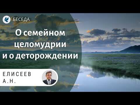 О семейном целомудрии и о деторождении. Елисеев А.Н. Проповеди МСЦ ЕХБ